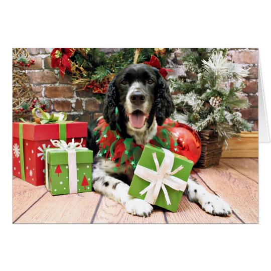 Christmas - English Springer Spaniel - Bosley Card