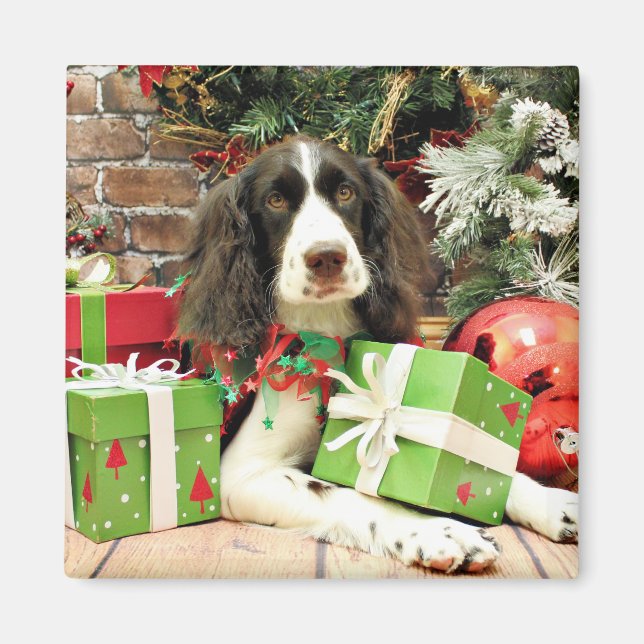 Christmas - English Springer Spaniel - Kinzie Magnet (Front)