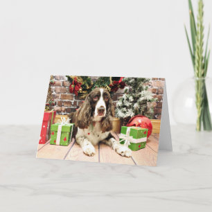 Christmas - English Springer Spaniel - Logan Holiday Card