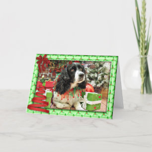 Christmas - English Springer Spaniel - Lucy Holiday Card
