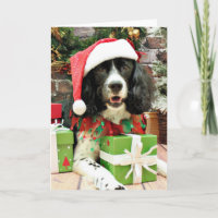 Christmas - English Springer Spaniel - Lucy