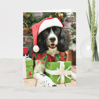 Christmas - English Springer Spaniel - Lucy Holiday Card