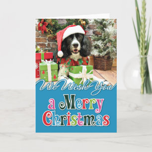 Christmas - English Springer Spaniel - Lucy Holiday Card