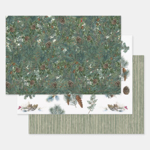 Christmas Evergreen Branches Pinecone Bird Stripe  Wrapping Paper Sheet