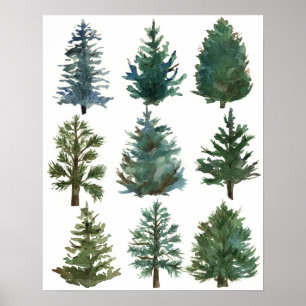 Christmas Evergreen Trees Holiday Home Decor
