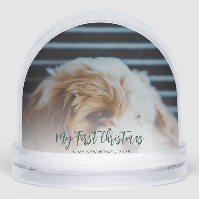 Christmas Family Photos Custom Keepsake Snowglobe (Front)