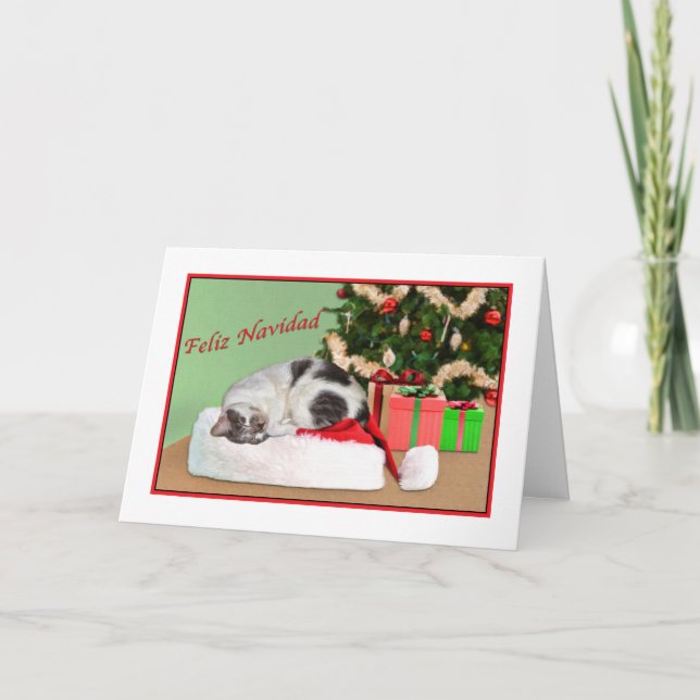 Christmas, Feliz Navidad, Spanish, Sleeping Cat Holiday Card (Front)