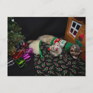 Christmas Ferrets Postcard