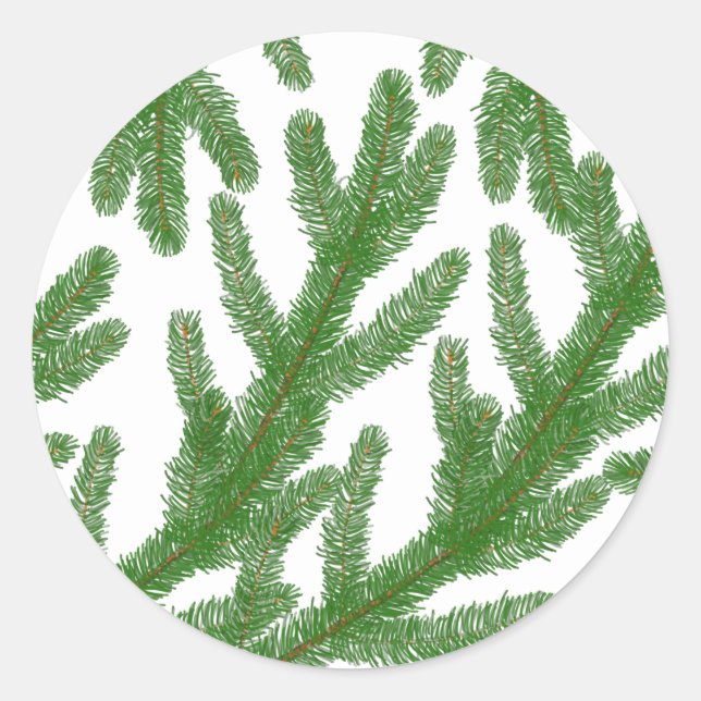 Christmas fir tree branches  classic round sticker (Front)