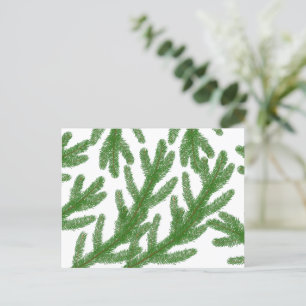 Christmas fir tree branches postcard