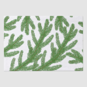 Christmas fir tree branches tissue paper