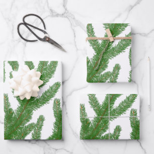 Christmas fir tree branches  wrapping paper sheet