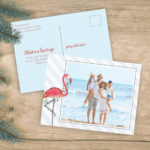 Christmas Flamingo Holiday Lights Budget Photo Postcard