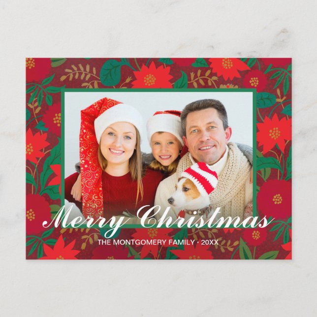 Christmas Floral Red Poinsettia Family Photo Holiday Postcard (Front)