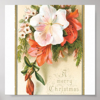 Christmas Flowers Poster