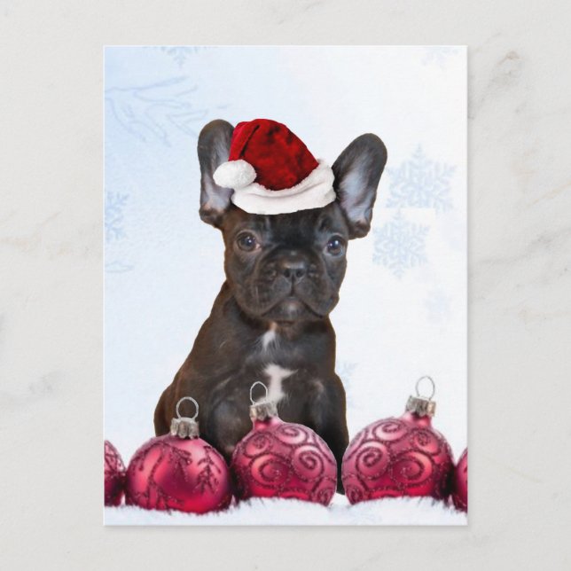 Christmas French Bulldog Holiday Postcard (Front)
