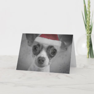 Christmas Funny Chihuahua Puppy with Santa Hat Holiday Card