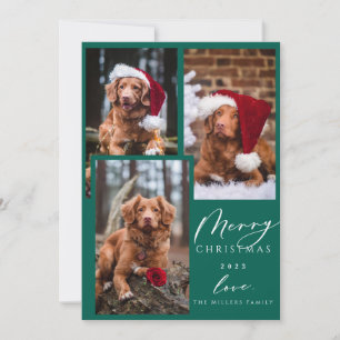 Christmas Funny Pet Merry Christmas 3 Photo Holida Holiday Card
