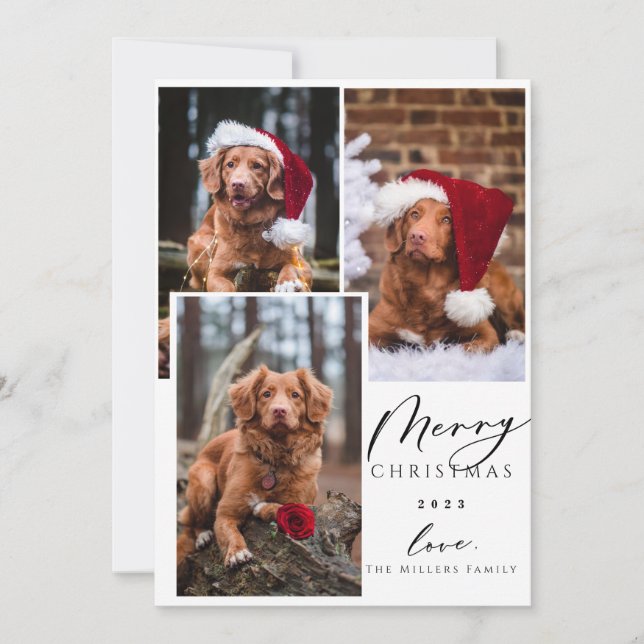 Christmas Funny Pet Merry Christmas 3 Photo Holida Holiday Card (Front)