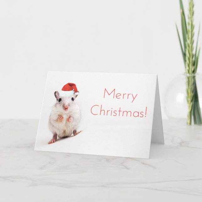 Christmas Gerbil Santa Hat Gerbils Santa Clause Holiday Card (Front)