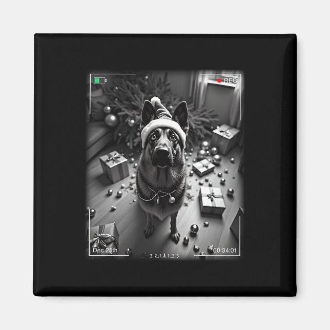 Christmas German Shepherd Caught On Camera  Magnet (Front)