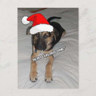 Christmas German Shepherd Holiday Postcard
