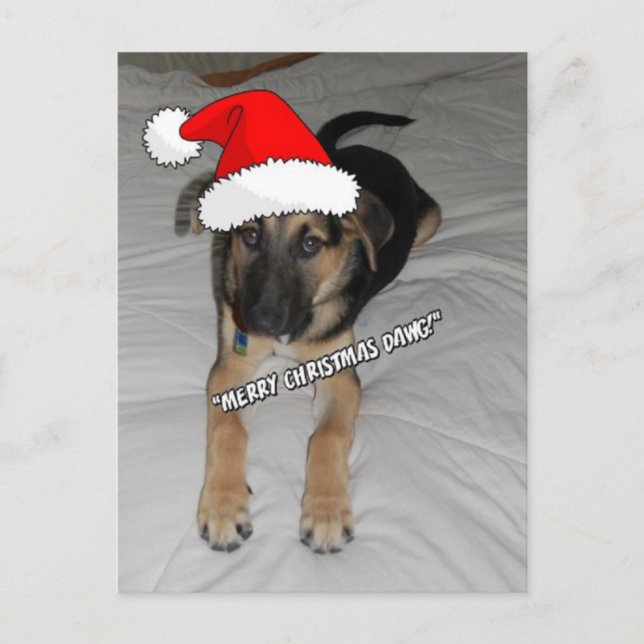 Christmas German Shepherd Holiday Postcard (Front)