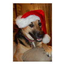 Christmas German Shepherd
