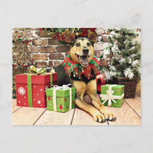 Christmas - German Shepherd X - Bailey Holiday Postcard