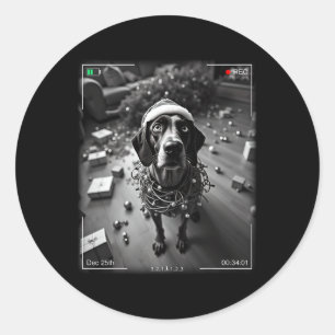 Christmas German Shorthaired Pointer Caught On Cam Classic Round Sticker