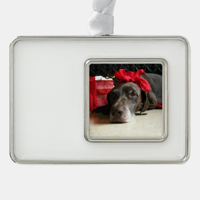 Christmas german shorthaired pointer silver plated framed ornament (Front)