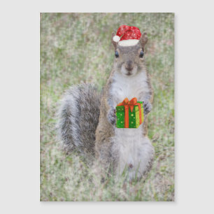 Christmas Gift From Squirrel