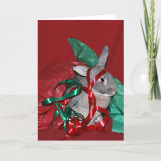 Christmas gift wrap frustration holiday card