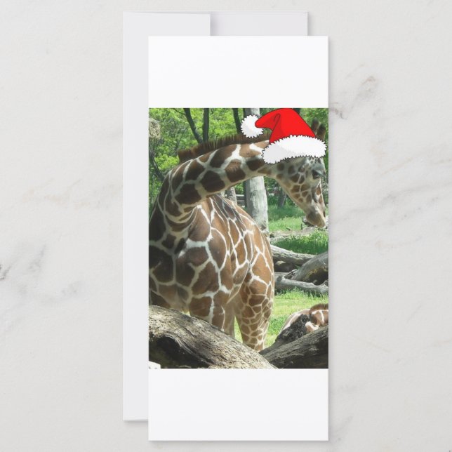 Christmas Giraffe (Front)