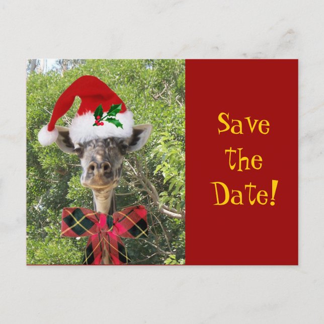 Christmas Giraffe Announcement Postcard (Front)