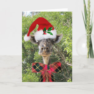 Christmas Giraffe Holiday Card