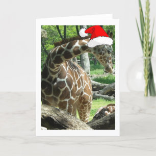 Christmas Giraffe Holiday Card