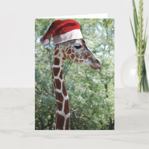 Christmas Giraffe Holiday Card