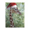 Christmas Giraffe