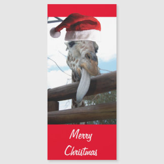 Christmas Giraffe wearing a Santa Claus Hat
