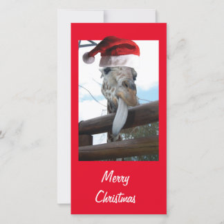 Christmas Giraffe wearing a Santa Claus Hat Card