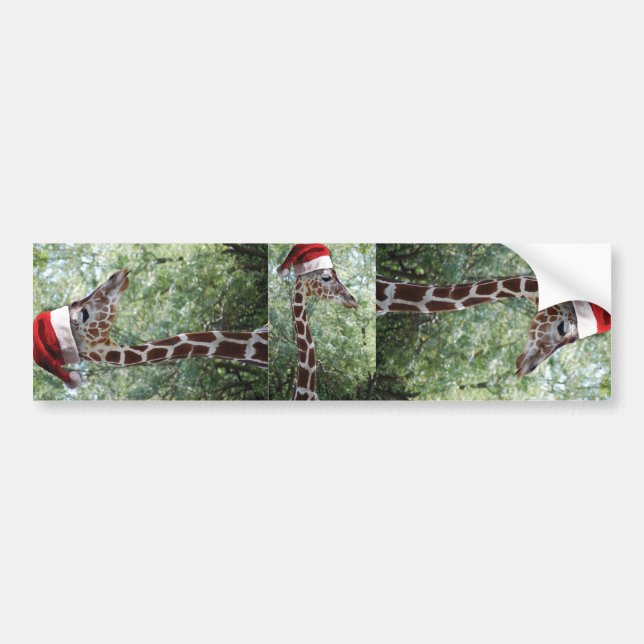 Christmas Giraffe With Santa Hat Bumper Sticker (Front)