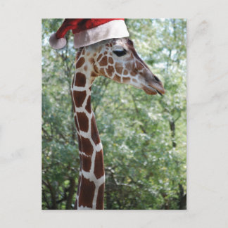 Christmas Giraffe With Santa Hat Holiday Postcard