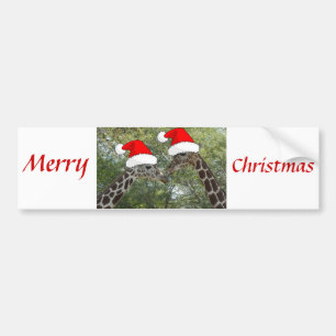 Christmas Giraffes Bumper Sticker