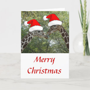 Christmas Giraffes Holiday Card