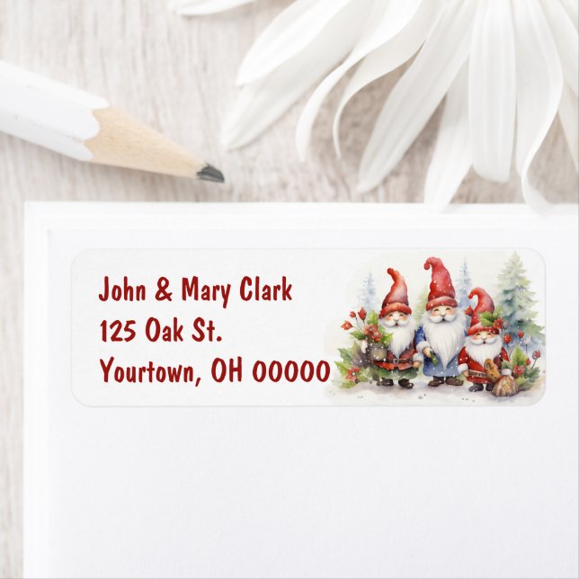 Christmas Gnomes (Insitu)