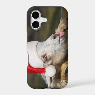 Christmas Goat