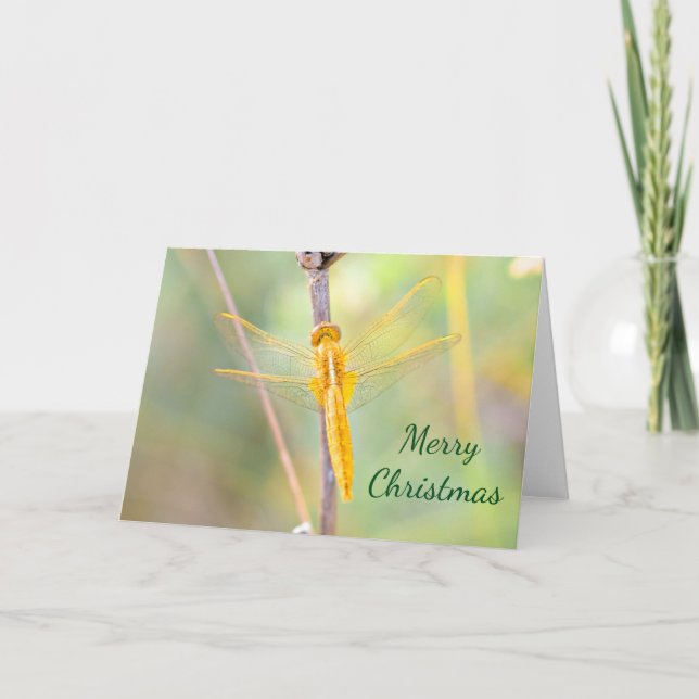 Christmas Gold and Yellow Coloured Dragonfly Holiday Card (Front)