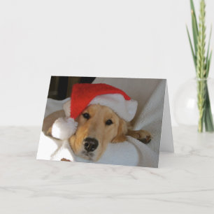 Christmas Golden Holiday Card