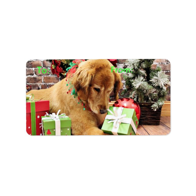 Christmas - Golden Retriever - Addison Label (Front)